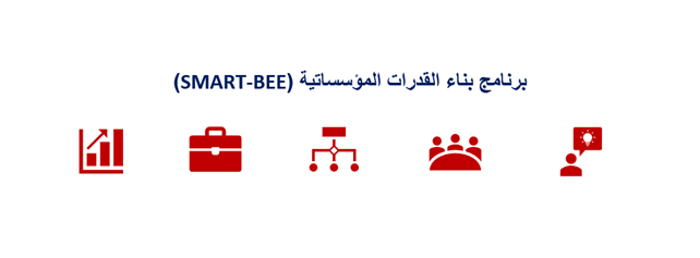 بناء القدرات المؤسساتية والسياساتية  (SMART-BEE)- مغلق