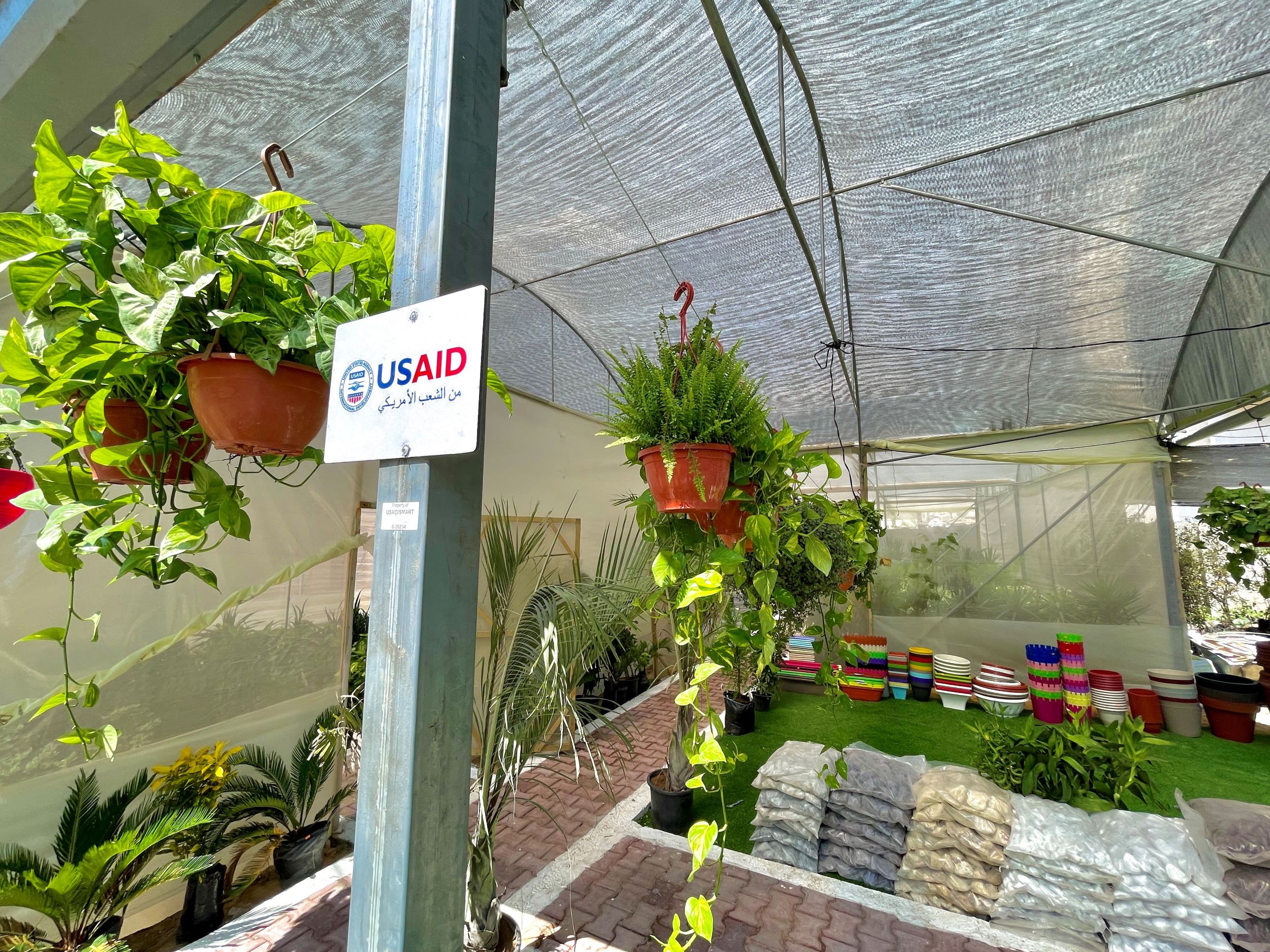 HOME GARDENING START-UP GETS BACK ON TRACK